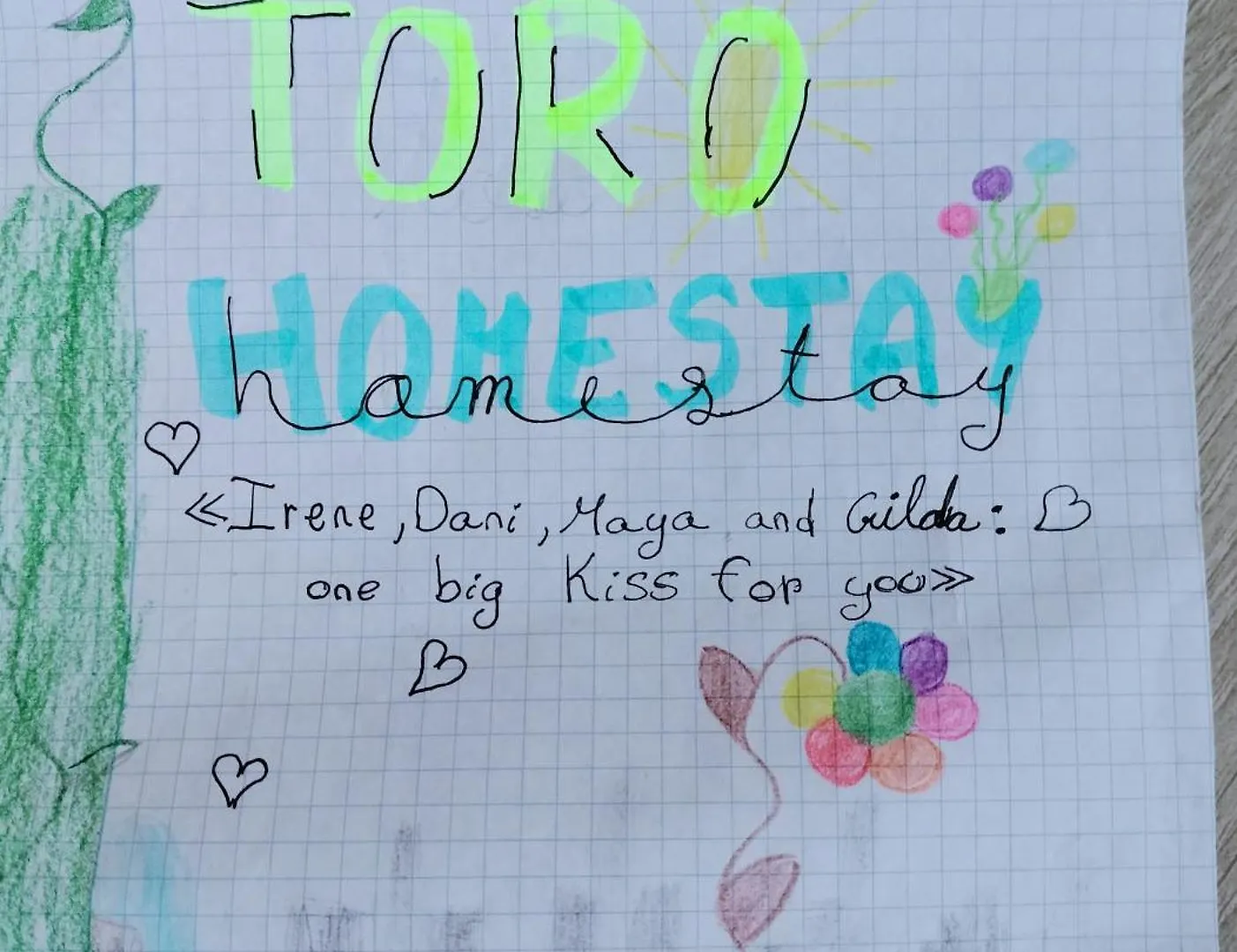 Toro Homestay Hoi An Vietnam